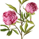 Topart Kunstbloem pioenroos Spring Dream - 5x - roze - 73 cm - kunststof steel - decoratie