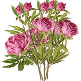 Topart Kunstbloem pioenroos Spring Dream - 5x - roze - 73 cm - kunststof steel - decoratie