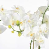Mica Decorations Orchidee bloem kunstplant - parel wit - H66 x B38 cm