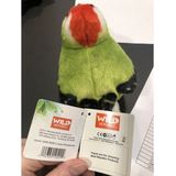 Pluche groene specht knuffel 15 cm - vogel knuffeldier
