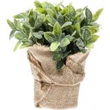 2x Kunstplant munt kruiden groen in pot 19 cm - Kunstplanten