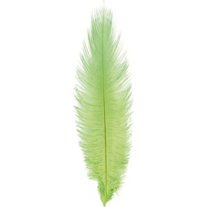 Chaks Struisvogelveer/sierveer - lime groen - 55-60 cm - decoratie/hobbymateriaal