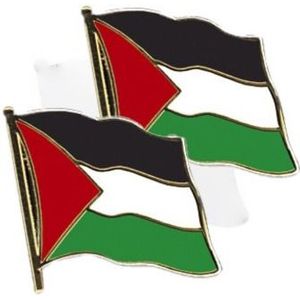 Set van 3x stuks pin Vlag Palestina 20 mm - Landen thema artikelen