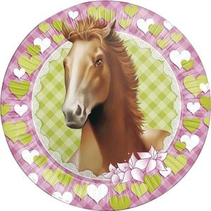 24x Paarden feest wegwerpbordjes 23 cm - Paarden thema kinderfeestje versieringen/decoraties