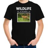 Dieren foto t-shirt Vos - zwart - kinderen - wildlife of the world - cadeau shirt Vossen liefhebber - kinderkleding / kleding