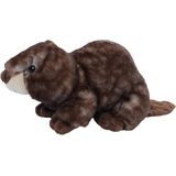 Pia Soft Toys Knuffeldier Bever - zachte pluche stof - bruin - kwaliteit knuffels - 18 cm