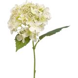 Emerald Kunstbloem hortensia tak - 2x - 50 cm - wit - kunst zijdebloem - Hydrangea - decoratie bloem
