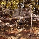 Faram Decoratie spinnenweb/spinrag met spinnen - 100 gram - wit - Halloween/horror thema versiering