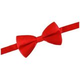 2x Rode verkleed vlinderstrikjes 12 cm voor dames/heren - Rood thema verkleedaccessoires/feestartikelen - Vlinderstrikken/vlinderdassen met elastieken sluiting