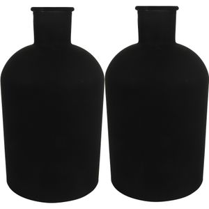 Countryfield bloemen/takken Vaas - 2x stuks - mat zwart glas - fles - D17 x H31 cm