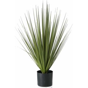 1x Groene grasplanten/kunstplanten Carex 78 cm in zwarte pot - Kunstplanten/nepplanten - Grasplanten