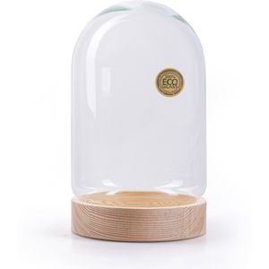 Jodeco Decoratie stolp - eco glas - houten plateau - D17 x H25 cm - presentatie stolpen
