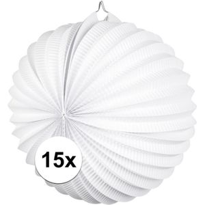 15x Lampionnen wit 22 cm