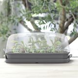 2x stuks kweekbakjes/kweekkasten antraciet grijs met deksel 39 x 25 x 18 cm - Propagator/moestuinbak