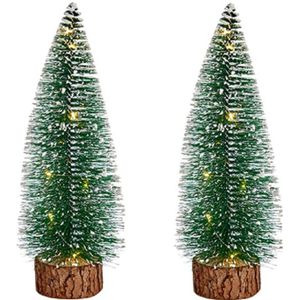 Krist+ Kleine decoraties kerstboompjes 2x stuks - 25 cm - met licht