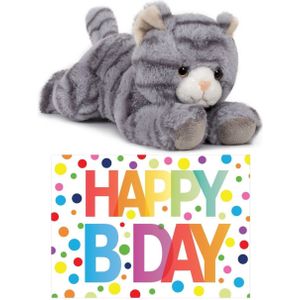 Cadeau Setje Pluche Grijze Kat/Poes Knuffel 25 cm met Grote A5 Formaat Happy Birthday Wenskaart