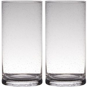 Set van 2x stuks transparante home-basics Cylinder vorm vazen van bubbel glas 30 x 15 cm - Bloemen/takken vaas voor binnen gebruik