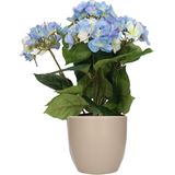 Hortensia kunstplant met bloemen blauw - in pot taupe - 40 cm hoog