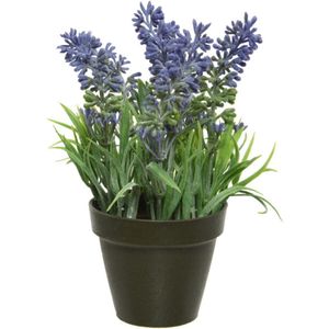 Kaemingk Kunstplant - lavendel - paars - 17 cm - in zwarte pot - lavandula