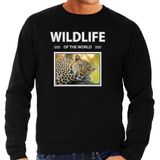 Dieren foto sweater Luipaard - zwart - heren - wildlife of the world - cadeau trui Luipaarden liefhebber