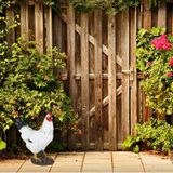 Sunnydays Tuin decoratie dieren/kippen beeldje - Polyresin - 28 x 15 x 36 cm - buiten - wit/zwart - tuinbeelden