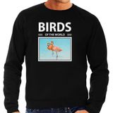 Dieren foto sweater Flamingo - zwart - heren - birds of the world - cadeau trui Flamingos liefhebber