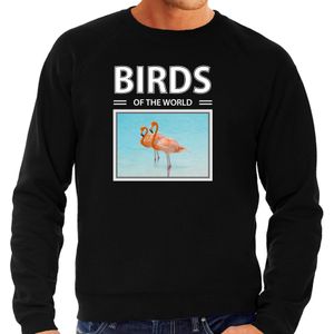 Dieren foto sweater Flamingo - zwart - heren - birds of the world - cadeau trui Flamingos liefhebber