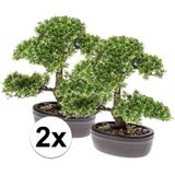 2x Groene kunst mini Bonsai boompje in pot 32 cm - Kunstplanten