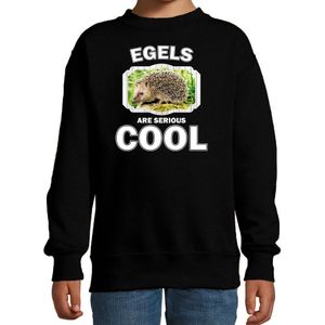 Dieren egels sweater zwart kinderen - egels are serious cool trui jongens/ meisjes - cadeau egel/ egels liefhebber - kinderkleding / kleding