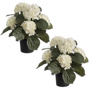 Set van 2x stuks witte hortensia kunstplanten in zwarte kunststof pot 44 cm - Hydrangea - Woondecoratie
