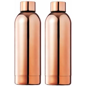 RVS waterfles/drinkfles/bidon/sportfles - 2x - metallic koper - met schroefdop - 800 ml