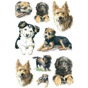 81x Honden/puppy dieren stickers - kinderstickers - stickervellen - knutselspullen