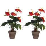 2x Rode Anthurium Kunstplanten 40 cm In Grijze Plastic Pot - Kunstplanten/Nepplanten