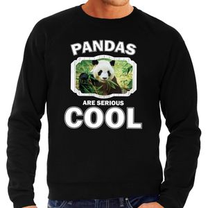 Dieren pandaberen sweater zwart heren - pandas are serious cool trui - cadeau sweater panda/ pandaberen liefhebber