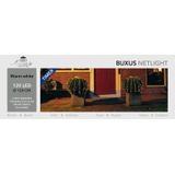 2x stuks buxus boomverlichting lichtnet / netverlichting met timer 120 lampjes warm wit 120 cm - Voor binnen en buiten gebruik