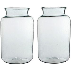 2x Cilinder vaas / bloemenvaas transparant glas 40 x 23 cm - bloemenvazen - woondecoratie / woonaccessoires