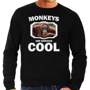 Dieren apen sweater zwart heren - monkeys are serious cool trui - cadeau sweater gekke orangoetan / apen liefhebber