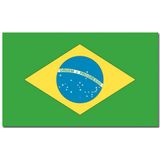 Bellatio Decorations - Vlaggen versiering - Brazilie - Vlag 90 x 150 cm en vlaggenlijn 5m