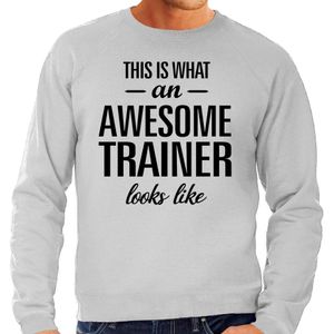 This is what an awesome trainer looks like cadeau sweater grijs - heren - beroepen / cadeau trui