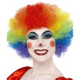 Gekleurde regenboog clown verkleed pruik voor volwassenen - Carnaval clowns accessoires
