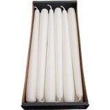 24x Witte dinerkaarsen 25 cm 8 branduren - Geurloze kaarsen wit - Tafelkaarsen/kandelaarkaarsen