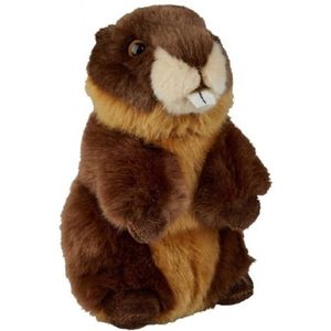 Pluche Bruine Bever Knuffel 18 cm - Bevers Knaagdieren Knuffels