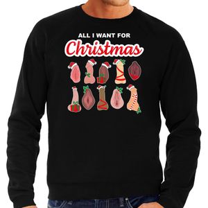 Bellatio Decorations foute kersttrui/sweater heren - All I want for Christmas - piemel/vagina - zwart