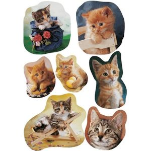 21x  Katten/poezen dieren stickers - kinderstickers - stickervellen - knutselspullen