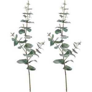 Kunstplant Eucalyptus - 2x - groen -  takken - hangplant - 68 cm