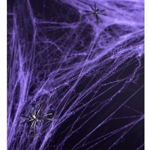 2x Paarse spinnenweb decoratie met 2 spinnen - Halloween/horror decoratie/versiering - Spinnenwebben