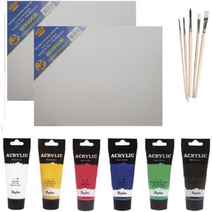 Schilders verf set van 6x tubes acrylverf/hobbyverf 75 ml + 2x canvas doeken van 40 x 60 cm + 5x kwasten - grote tubes