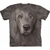 Honden dieren T-shirt Weimaraner voor volwassenen