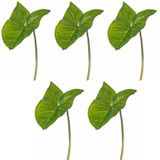 Kunst Aronskelkblad bladgroen tak 53 cm - Nepplanten/kunstplanten kunsttakken