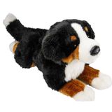 Carl Dick Knuffeldier Berner Sennen hond - zachte pluche stof - premium kwaliteit knuffels - 30 cm - honden